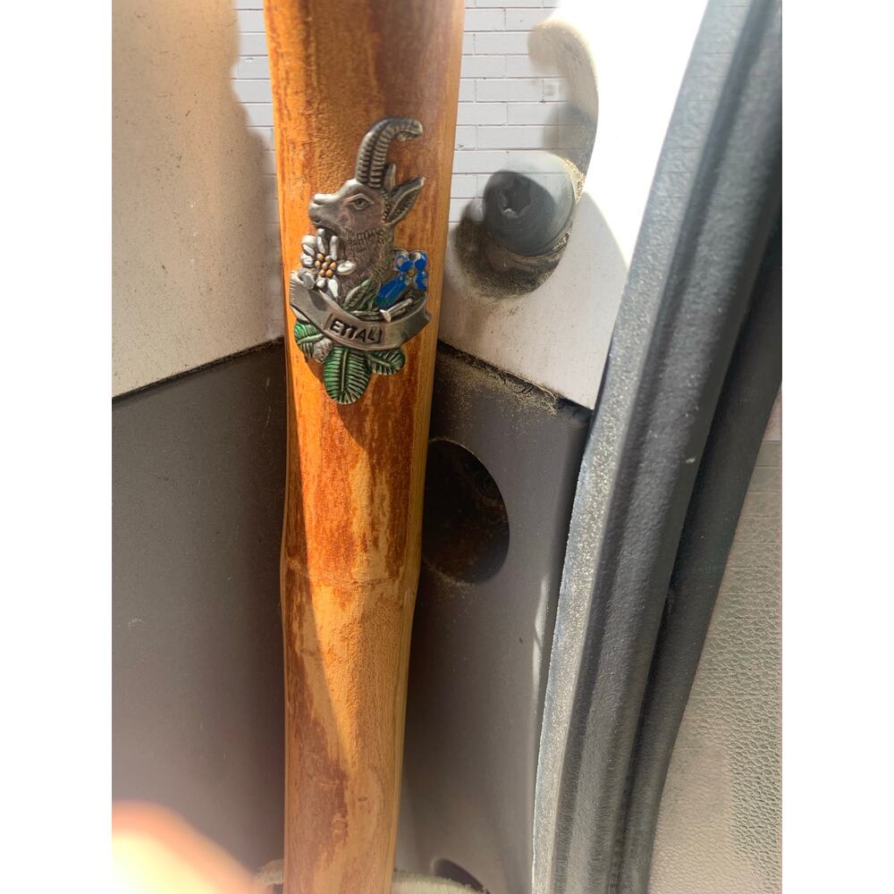 Vintage German Wanderstock Hiking Stick 50” w/ Ettal & Freudenstadt Badges